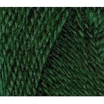 Пряжа для вязания ТРО Огонек (100%акрил) 10х100гр250м цв.0112 зеленый